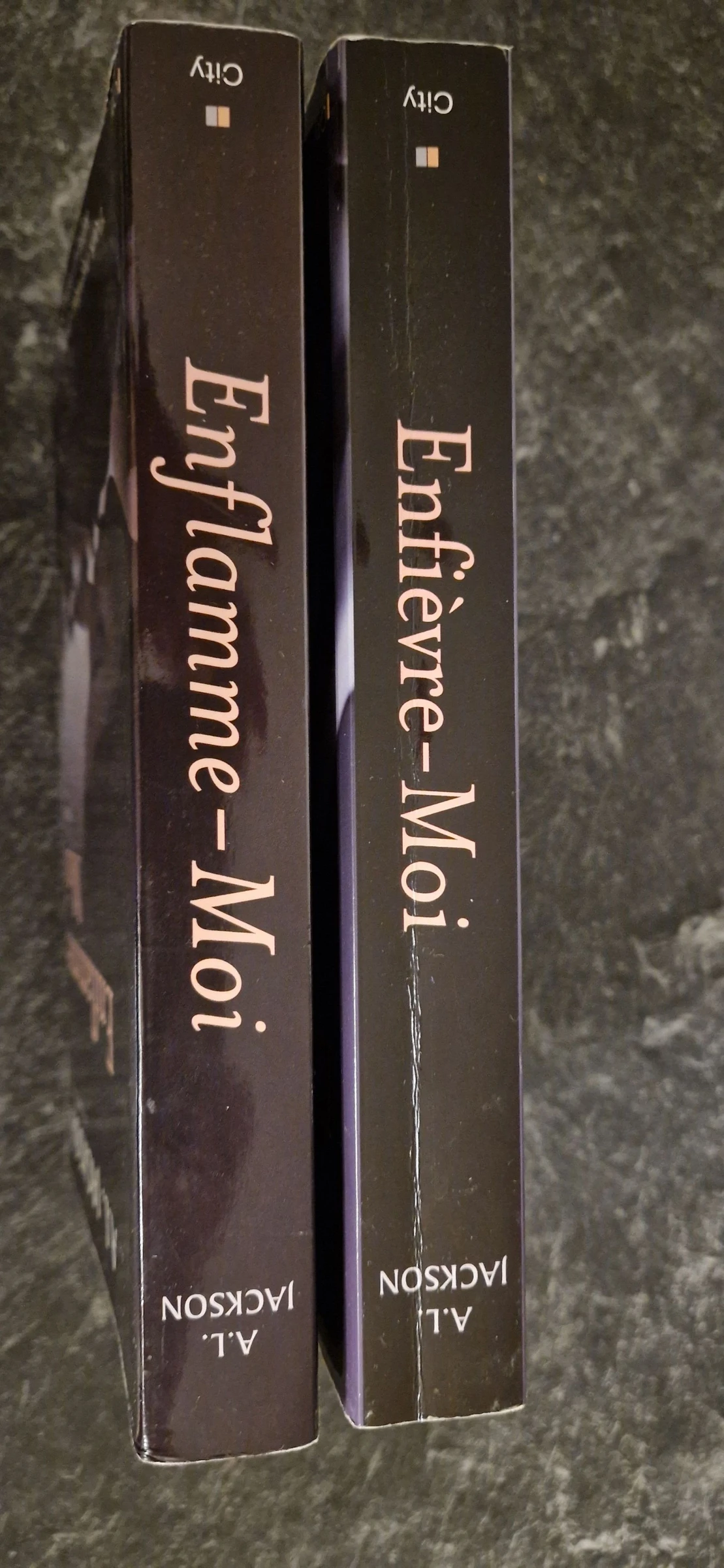 Lote de 2 volumes Enflamme-moi – photo 6